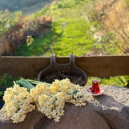 Sakli Habitación en casa particular *