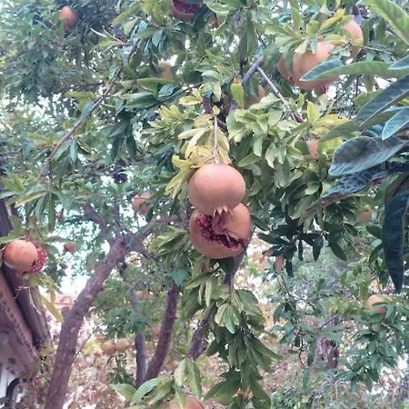 Sakli Kwatera prywatna Karaburun (Izmir)