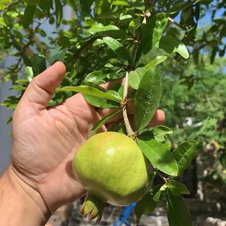 Sakli Habitación en casa particular *
