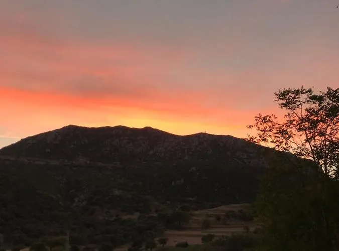 Alloggio in famiglia Sakli