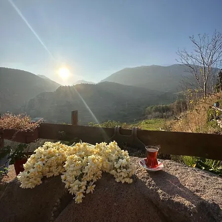 Homestay szállás Sakli