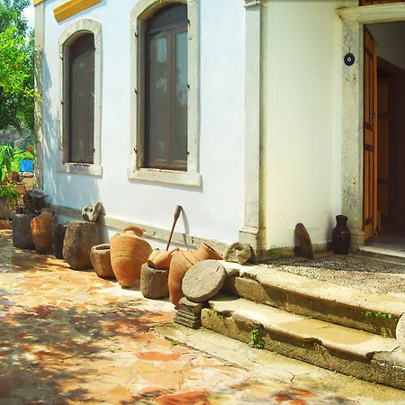 Sakli Homestay szállás