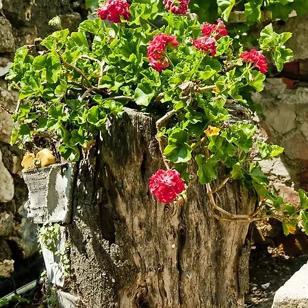 Homestay szállás Sakli