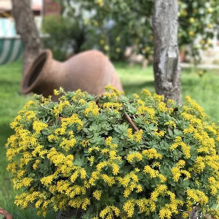 Sakli Homestay Karaburun (Izmir)