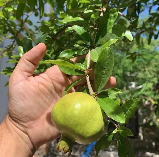 Sakli Ubytování v soukromí *