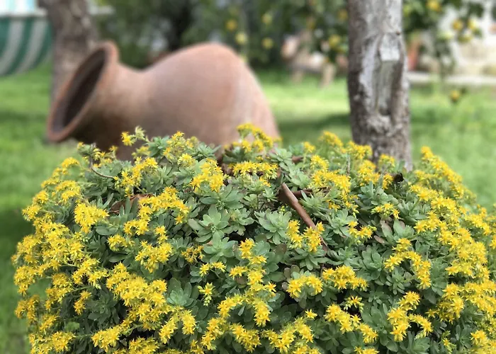 Sakli * Karaburun (Izmir)